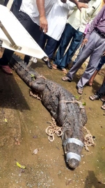 Crocodile pays ‘visit’ to Tilamol school