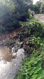 Leachate from Dumane garbage plant flows into Agonda river