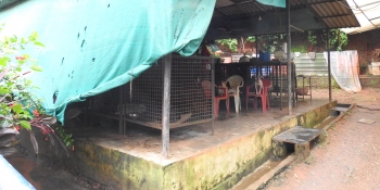 Will MMC's Animal Birth Control prog get back on track?