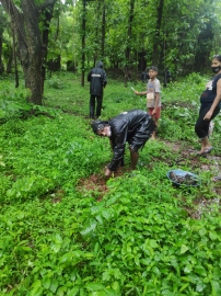 Saplings planted near ruins of Mt Carmel chapel in Chimbel