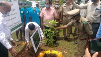 Agri min says sapling plantation is essential, not a political activity