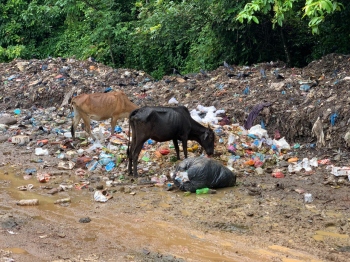 CMC lied about covering exposed garbage heaps at Dumane plant: RG