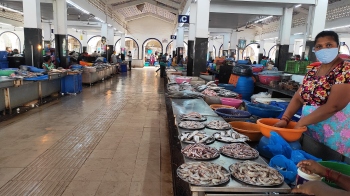 SGPDA markets closed for CZMP hearings