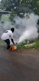 Fogging drive in Cumbharjua, Curtorim and Navelim