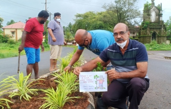 Saplings planted at Chandor