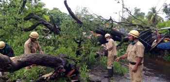 Tree crash damages kiosk and power lines at Old Goa