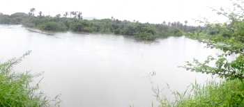 ALL EYES ON NGT’s PANEL TO ASSESS SAL FLOOD PLAINS