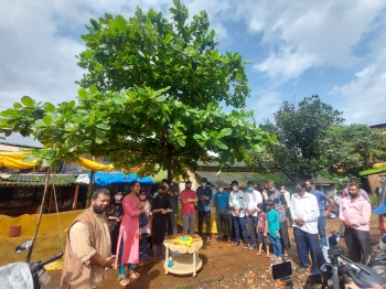 Almond tree birthday celebrated