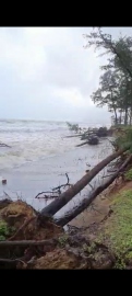 Galgibaga beach bears the brunt of nature's fury