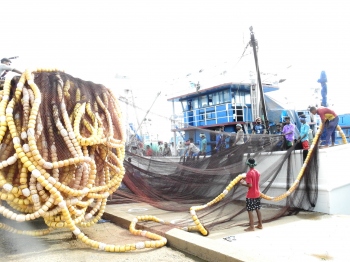 CUTBONA FISHING SEASON: HINGING ON MEN OF THE CATCH