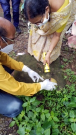 Cleanliness drive in Chimbel as dengue raises ugly head
