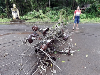 Coconut tree falls, takes down 5 power poles at Merces