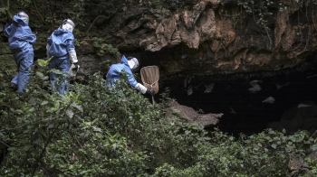 Marburg virus: The deadly disease detected in Africa