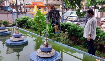 Measures taken up in port town amid dengue surge