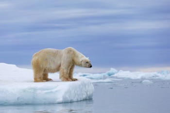 Greenland’s ‘record-breaking’ rain & what it means for Earth