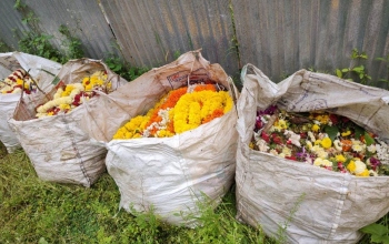 Collected Nirmalaya will be sent for composting: MMC CO