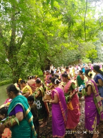 Gauri Pujan celebrated in villages of Sattari