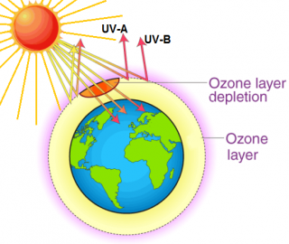 WORLD OZONE DAY: A call to protect the ozone layer