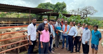 Pilerne BJP workers offer aid to Mayem Goshala