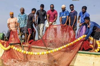 Traditional fishermen net tonnes of fish along Salcete coastline in last 2 days