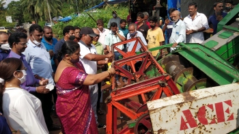 Gaushalas sought in all talukas to tackle menace of stray cattle