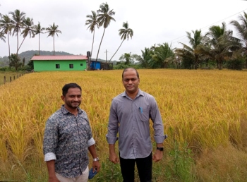 Farmer successfully grows Jeera Sal rice in Parra
