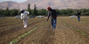 Climate change lowers nutrition & hikes toxicity at base of food web
