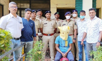 Ganja worth Rs 2 lakh seized, youth arrested