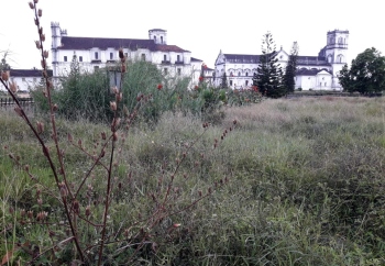 Lack of electrification, bushes plague Se Cathedral precincts