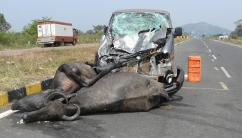 Accident on Western bypass throws light on missing street lights