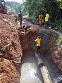 Arlem-Raia farmers get to root of sewage odour in their fields