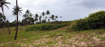 NCSCM misses out sand dunes