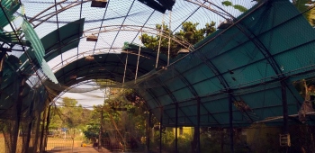Roof blown away at indoor cricket pitch in Maxem