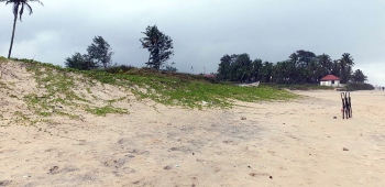 GCZMA experts seek sand dune management plan for survival