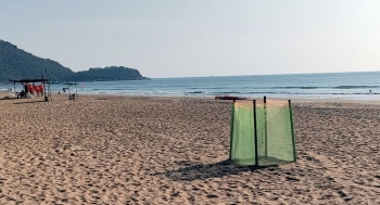 Olive Ridley turtle lays 118 eggs at Agonda