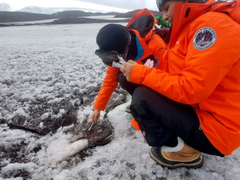Antarctic fuel-eating microbes may help in plastic clean-up