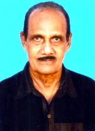 Shock as Old Goa satyagraha participant dies in mishap