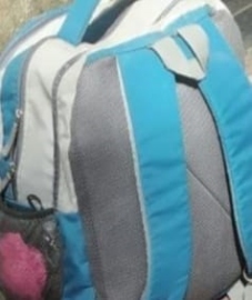 Inebriated men picked bag with 40 cartridges: witness