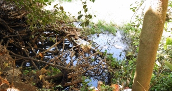 MARGAO’S SEWAGE RAISES STINK