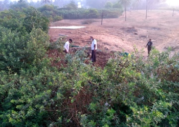 Forum points to destruction of beach vegetation in Candolim