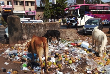 Irregular waste collection raises stink in Mapusa