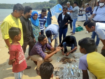 47 species identified in rapid fish count at Chicalim Bay