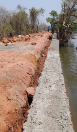 Corlim local raises concern over salinity affecting wells