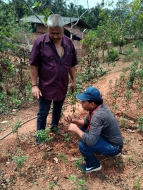 Climate change threatens chilli cultivation in Sattari, says ZAO