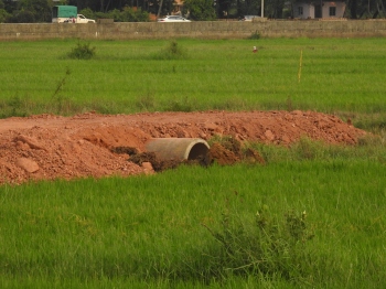 Despite opposition, PWD continues filling of Tolleaband water body