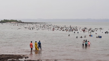 Mass extraction of clams irks environmentalists
