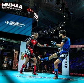 Goa's Fight Night 2.0: Fans excited for MMA in State