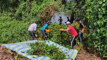 Weed-ache: People power to clean up Mapusa river