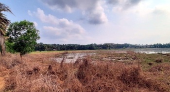 Neura fields flooded with saline water despite MLA’s visit: Wagh