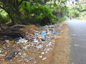 Waste dumped along Comba ring road as MMC struggles to tackle issue